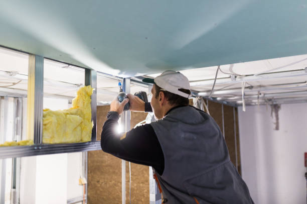 Best Insulation Maintenance and Repair in Springfield, CO